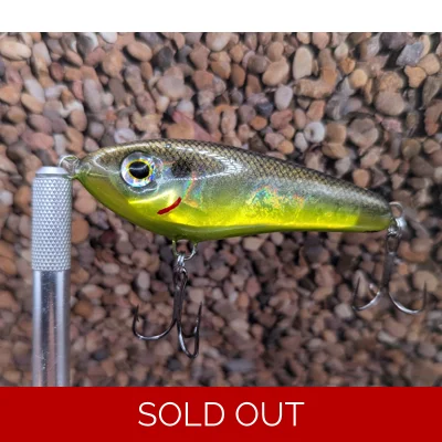 Shad/Chart belly Jr.